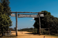 Transpantaneira Highway- Pantanal Brazil